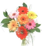 Semnificatia florilor - Decor - Plante - Animale