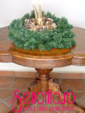 Decoratiuni de Craciun 2010-2011 - Decor - Plante - Animale