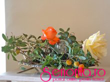 Decoratiuni de Craciun 2010-2011 - Decoratiuni de Craciun Decoratiuni de Craciun 2010-2011 - Decor - Plante - Animale