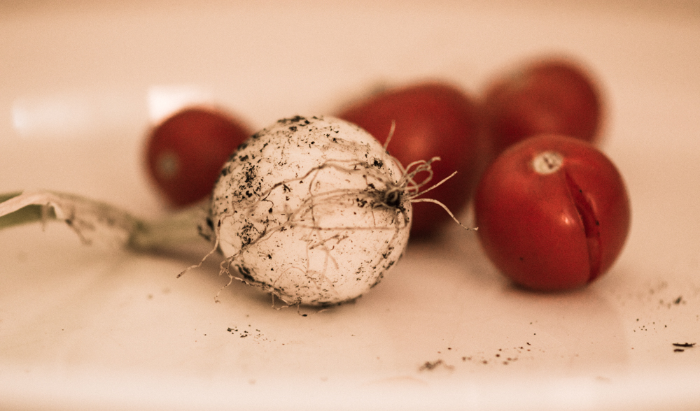 creme cu ingrediente naturale creme cu ingrediente naturale