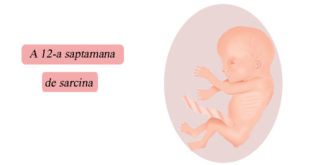 a-12-a-saptamana-de-sarcina