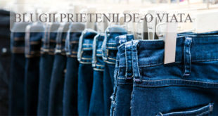 blugii-prietenii-de-o-viata