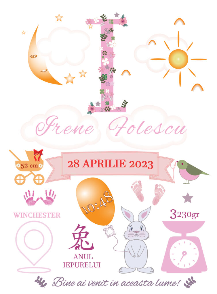 Tablouri bebe personalizate - Tablouri bebe personalizate -